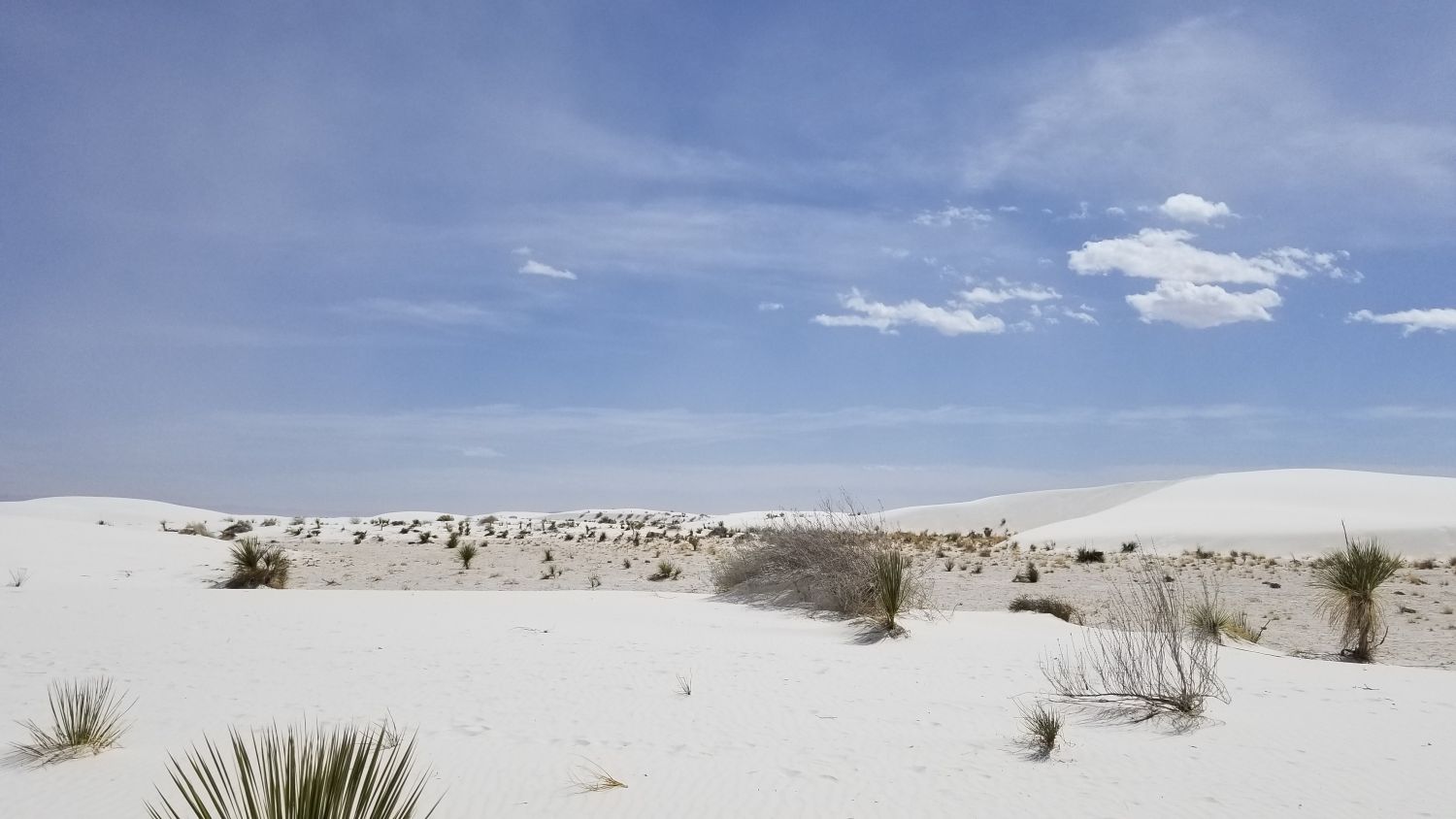 White Sands BackCountry Trail 